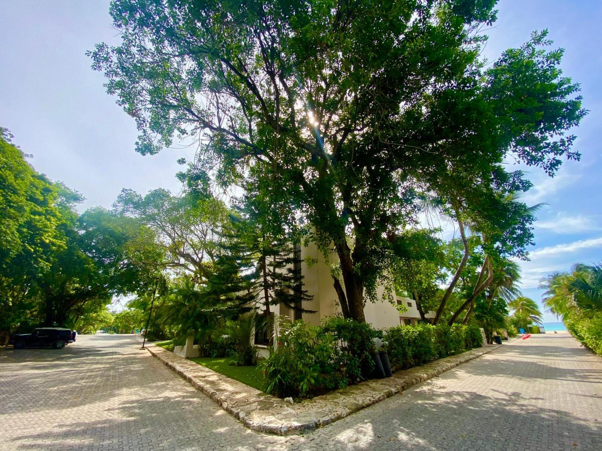 Villa Almendra Playacar 1 Плая дел Кармен Екстериор снимка
